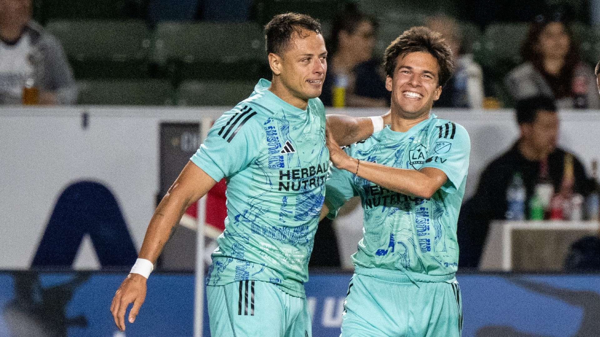 他的影响力 他的影响力