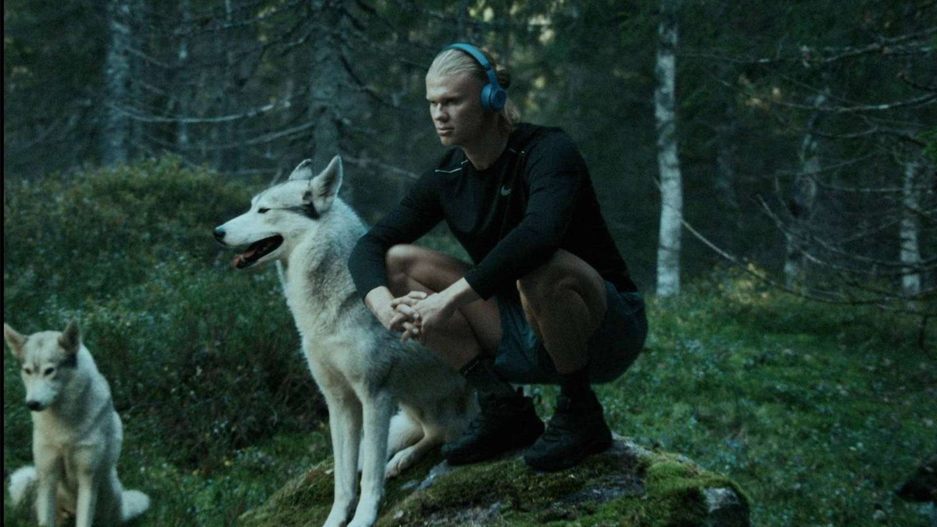 观赛之余也 观赛之余也